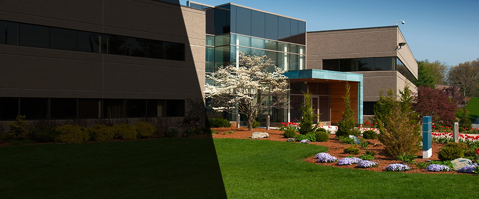 Roselle Park Landscapers