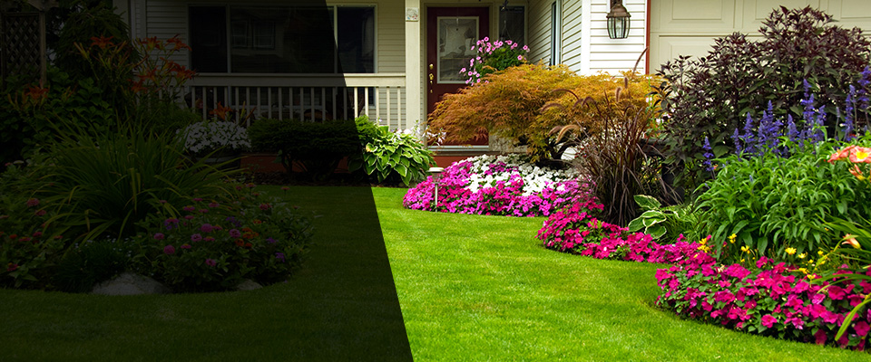 Roselle Park Landscapers