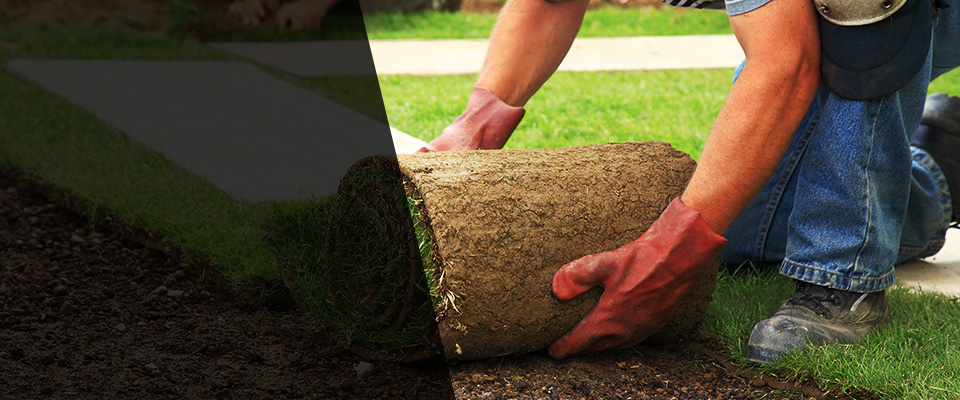 Roselle Park Landscapers